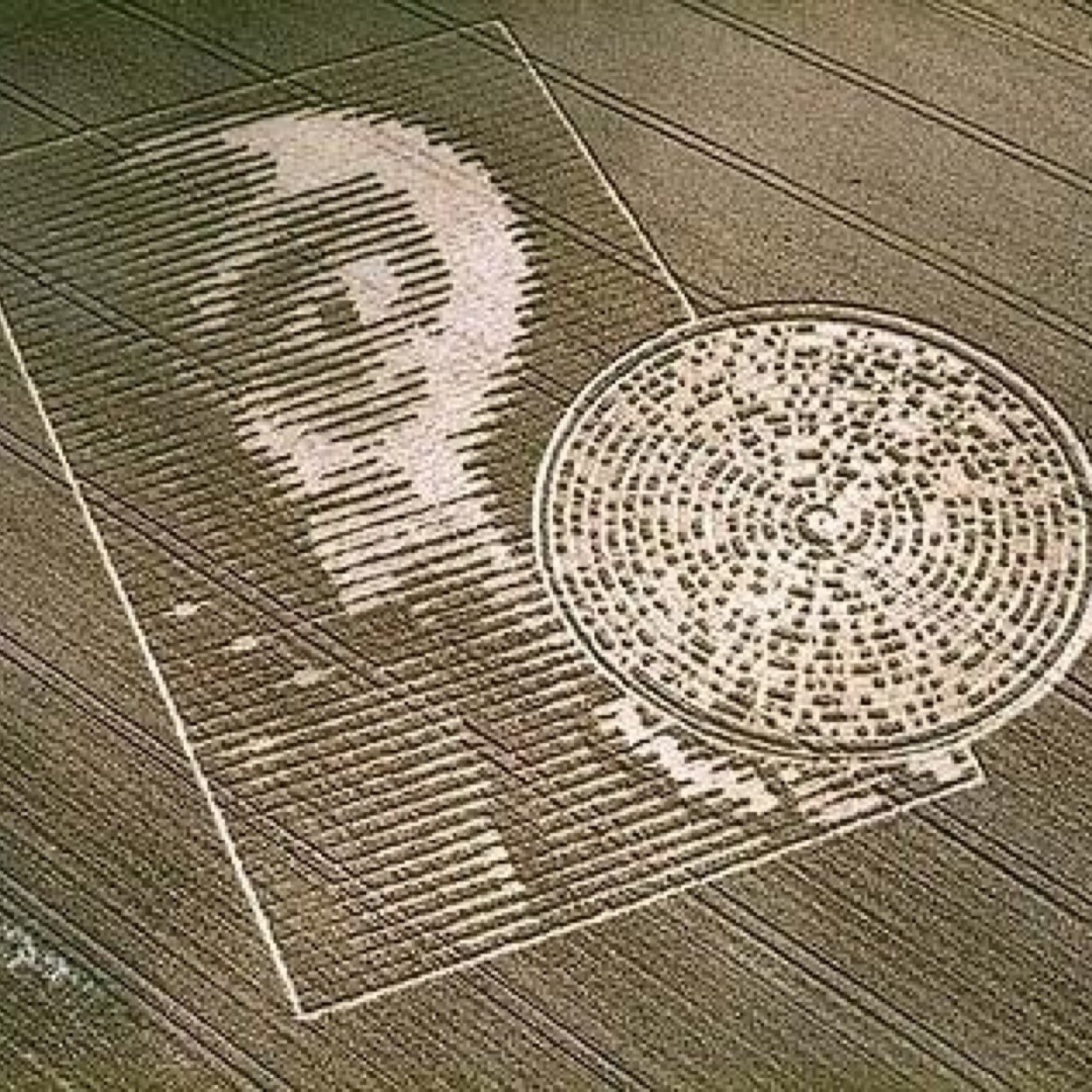 okwaltz's profile picture. 가짜 선물을 주는 자들과 그들의 거짓 약속들을 경계하라. 많은 고통이 있었지만 아직 시간은 있다. 믿으라. 저 바깥에는 선한 존재들이 있다. 우리는 속임수에 반대한다. https://t.co/p9E67hic3M