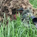 Daniel rodwell - @Danrodwell1997 - Twitter