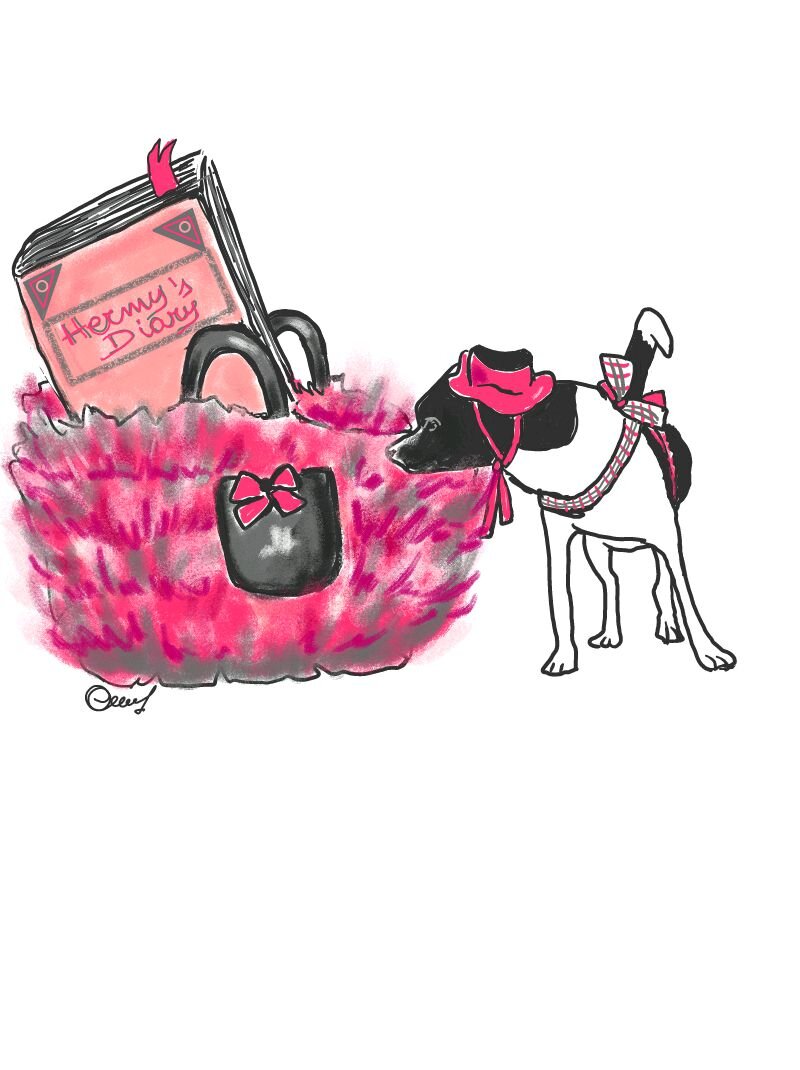 Fashion Blogger, Buyer & Personal Shopper
