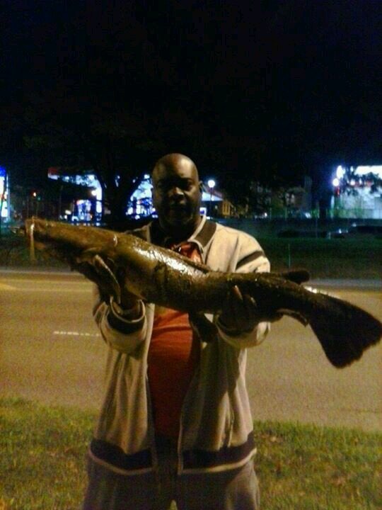 TroyDJMAKRimes's profile picture. 