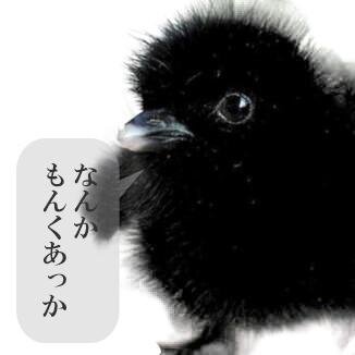 最高 黒いひよこ キャラクター ベストアニメ画像 最高 黒いひよこ キャラクター ベストアニメ画像