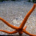 Carmen Box Molina - @molina_box - Twitter