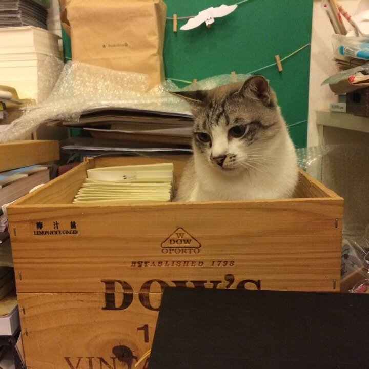 caketheking's profile picture. #caketheking the Top Cat at BooksActually but they castrated me ballz