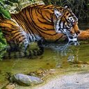 Michael Regner - @MichaelRegner12 - Twitter