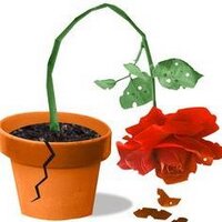 Liebour Party (@liebour) 's Twitter Profile