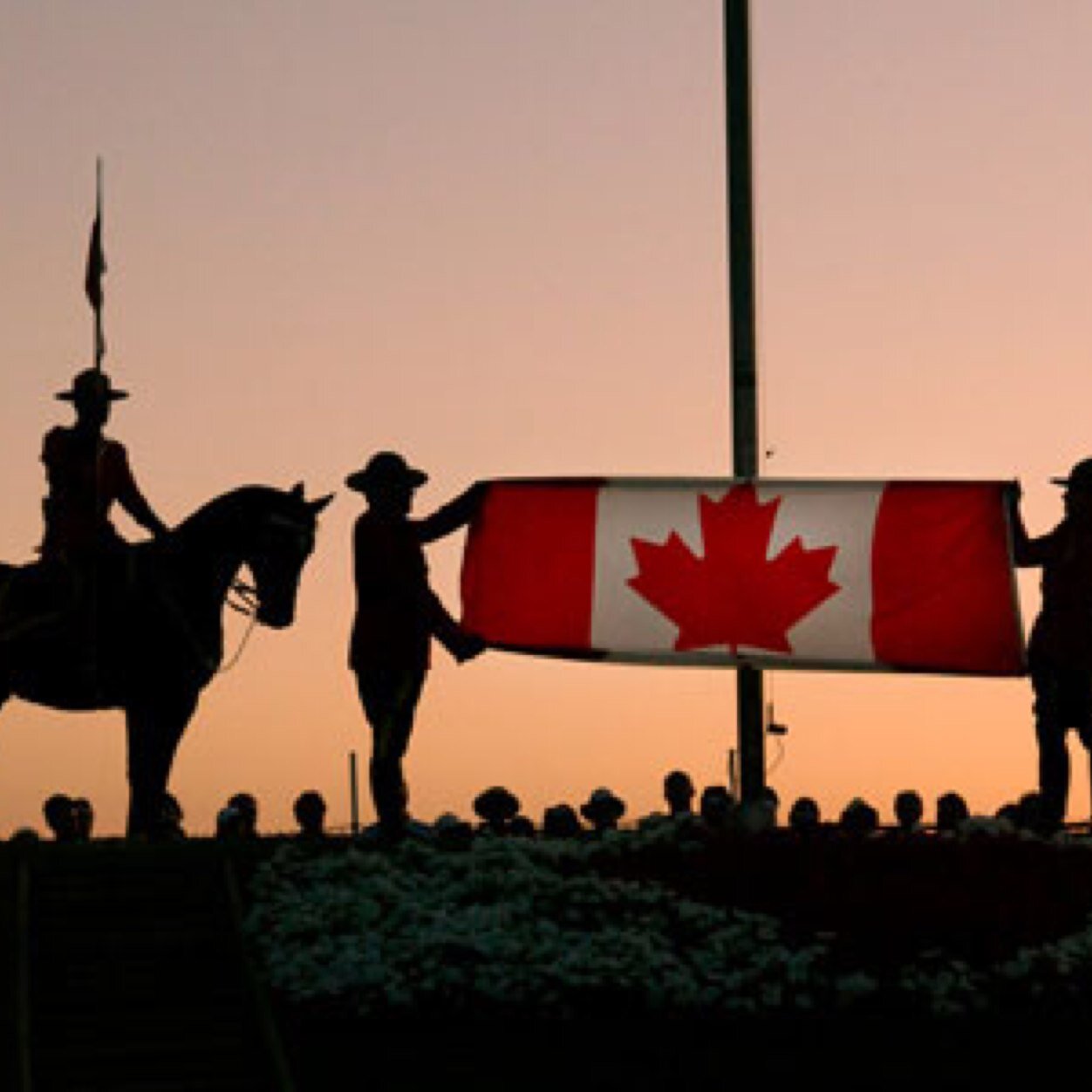 pepps1973's profile picture. 