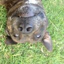 Derek Tabor - @TaborDerek - Twitter