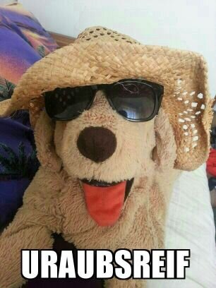 kleini209's profile picture. 