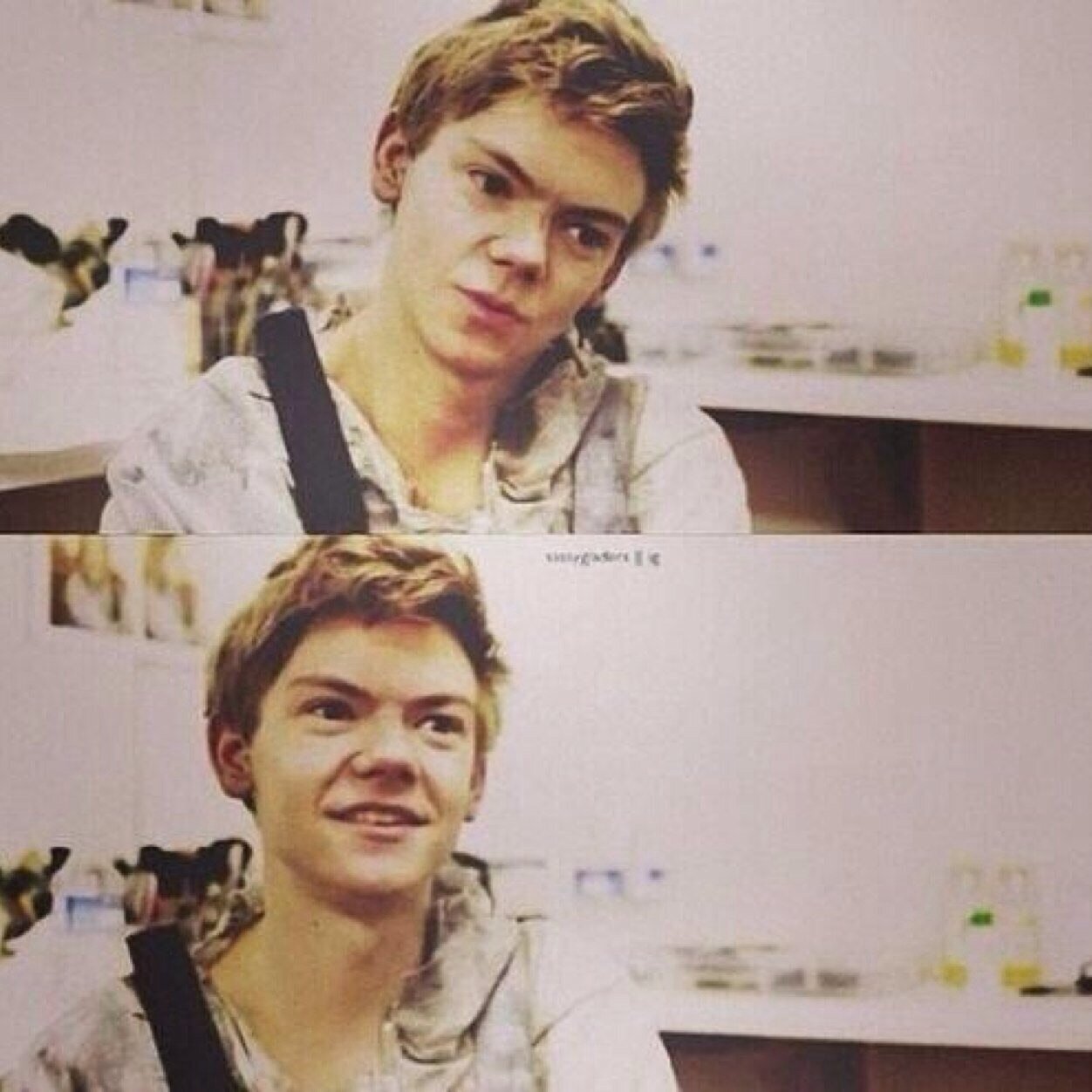 thehgsecrets's profile picture. 