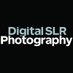 DSLR Photography (@digitalslrphoto) Twitter profile photo DSLR Photography (@digitalslrphoto) Twitter profile photo