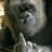 Rorschach_WDTM's profile image