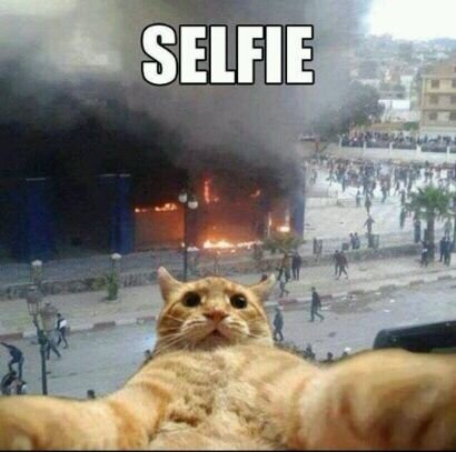 IBurstfiire's profile picture. Modern Warfare 2 player. GT - ToY SLDR x