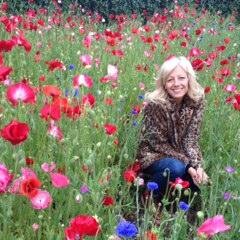 juhirst's profile picture. Professor, Sheffield Hallam University