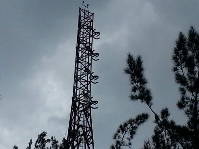 multicastRTV's profile picture. network multimedia