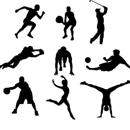 are you interested in all kinds of sports??