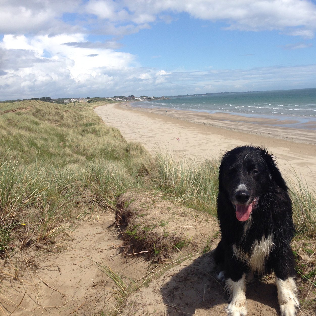 Portmarnock beach