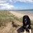 Portmarnockbeac's profile image