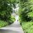 TriMonkstown's profile image
