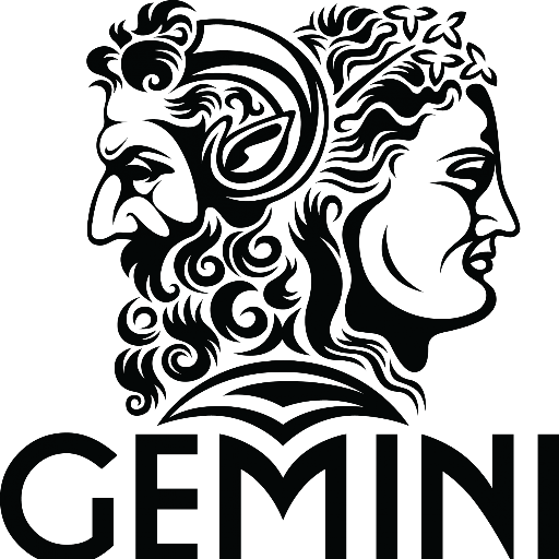 would you like to learn about gemini??