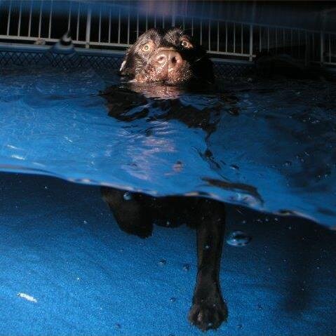 usdaguy's profile picture. retired computer specialist, married over 50 years