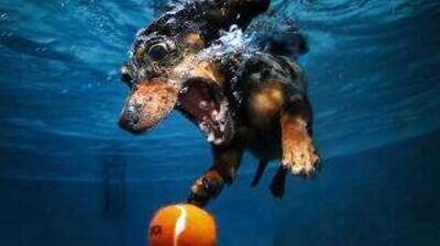 Fraley710's profile picture. 