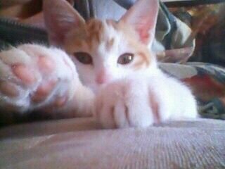 berry2351151's profile picture. KinKiは殿堂入り。KAT-TUNの演出中毒。SixTONES(ジェシー)沼に思いっきりズドン。ディズニーも大好き 音楽が好き 旅行が好き 猫が好き ドリカムが好き 徒然なるままつぶやきます