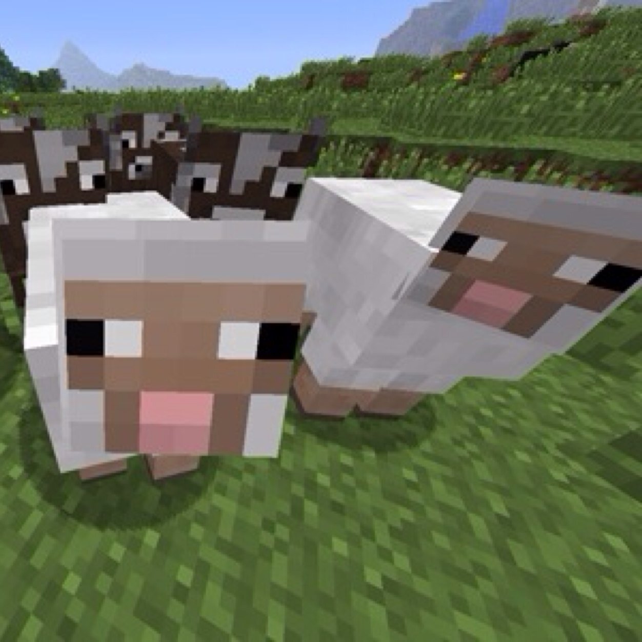 minepe__'s profile picture. 