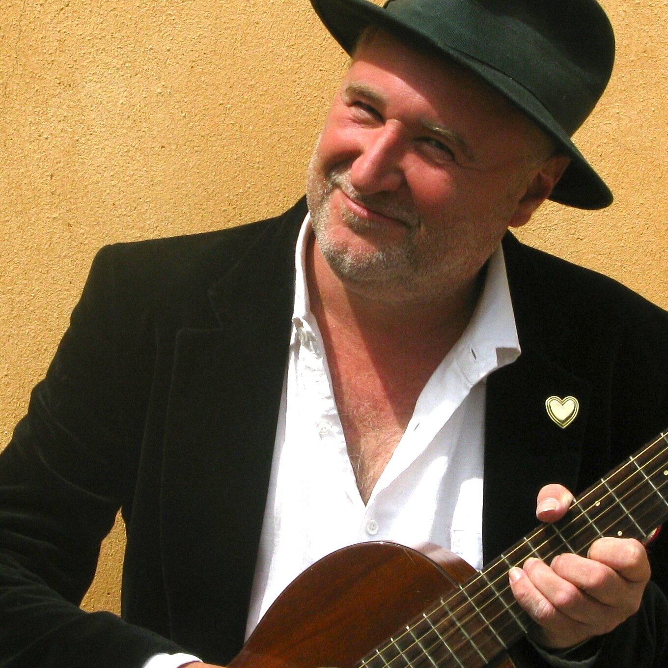 singer songwriter/Music workshop leader