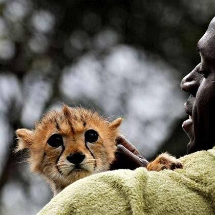World Most Viewed Lovely Videos