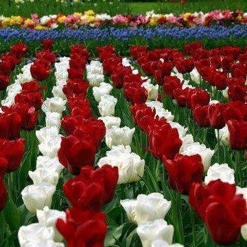 KASHMIR DESTINATION SPECIALIST