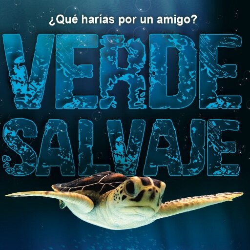 Sigue la expedición al mundo salvaje de la #TortugaVerde un recorrido por #IslaDeAves, #LosRoques y el #GolfoDeVenezuela. Un #documental de @BelénOrsini