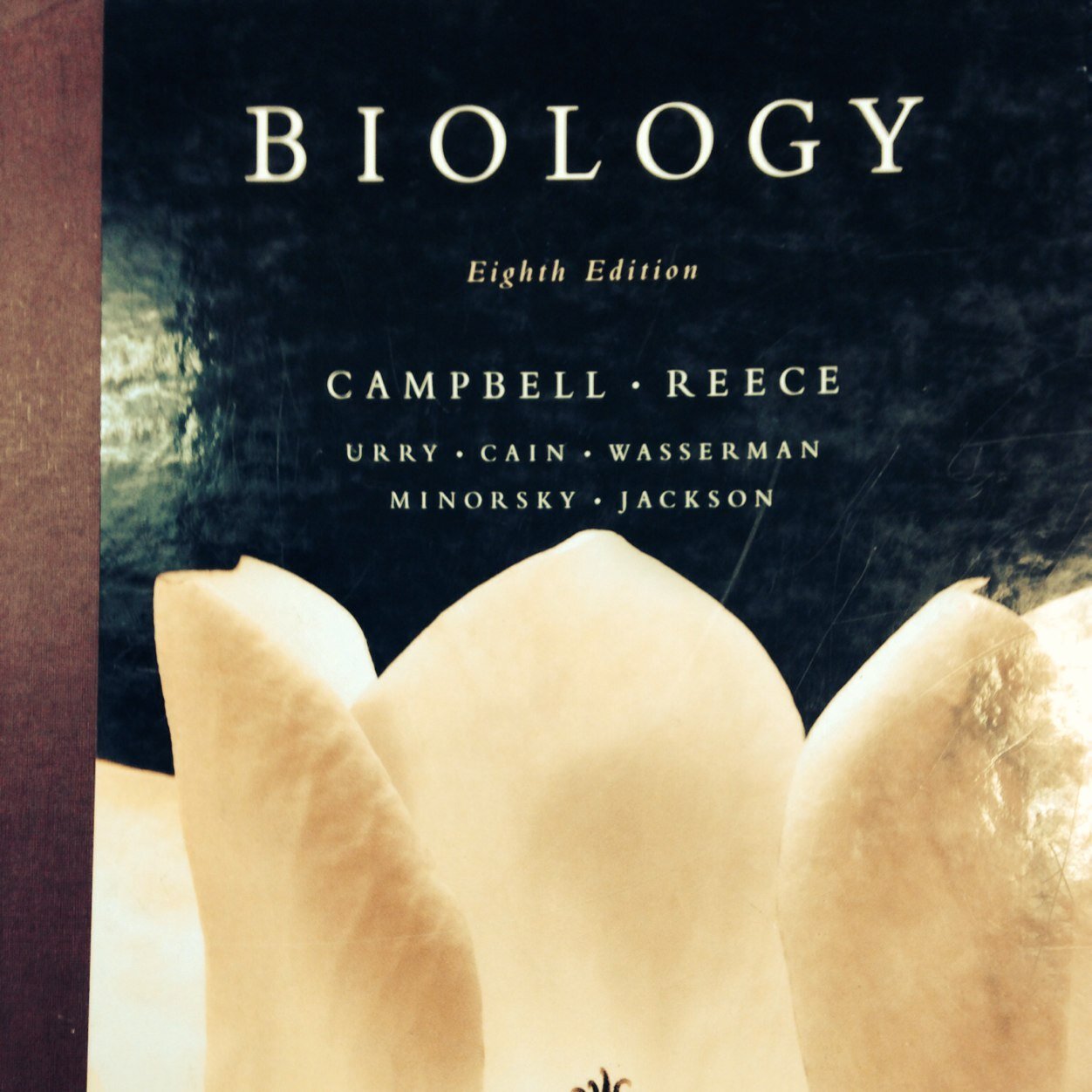 wwtapbio's profile picture. 