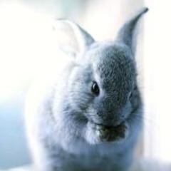 usanpomaru's profile picture. The Hottest Pics and GIFs. +18