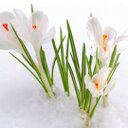 Jane Wadsworth - @JaneWadsworth1 - Twitter