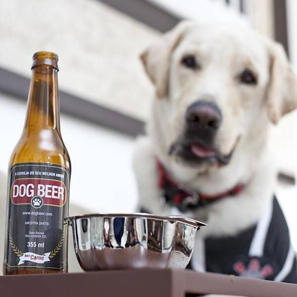 Beer your best friend.
A cerveja do seu melhor amigo.