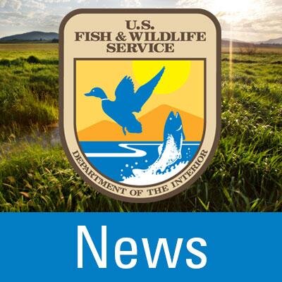 Follow us to get the latest official news, announcements, and updates from the U.S. Fish and Wildlife Service (@USFWS).