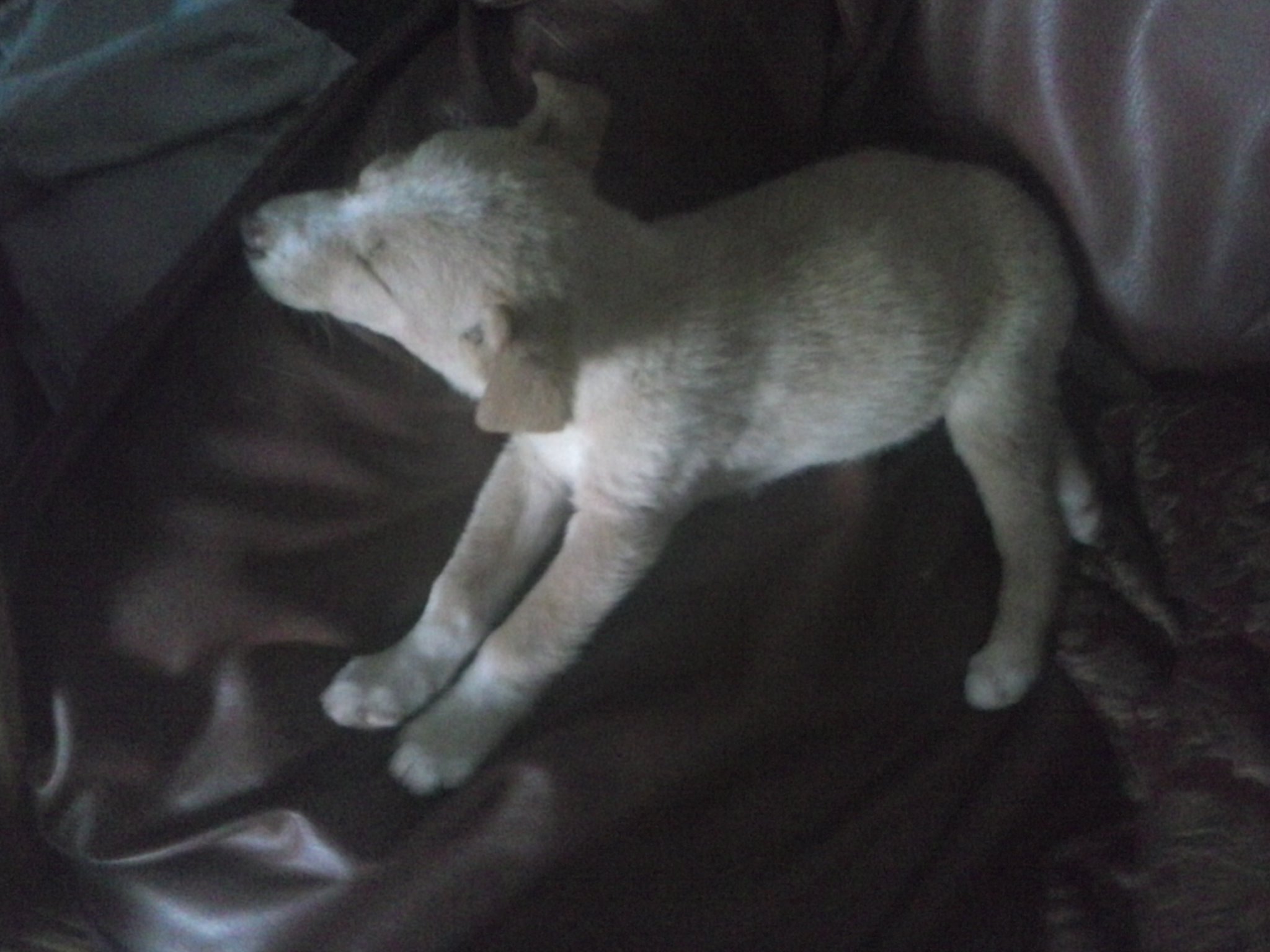 RmRmiller251's profile picture. 