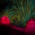 MarineBio3 (@marinegenomics) Twitter profile photo MarineBio3 (@marinegenomics) Twitter profile photo