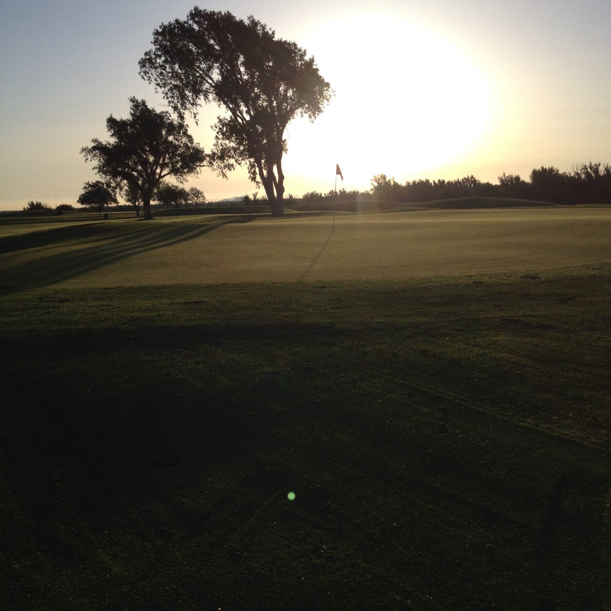 Superintendent@ Ross Rogers Golf Complex