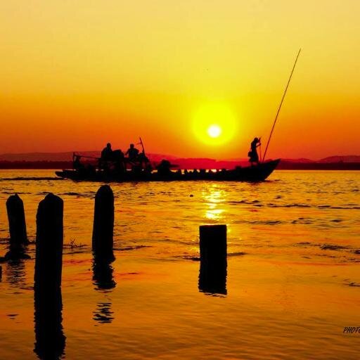 Waynepppppp's profile picture. 