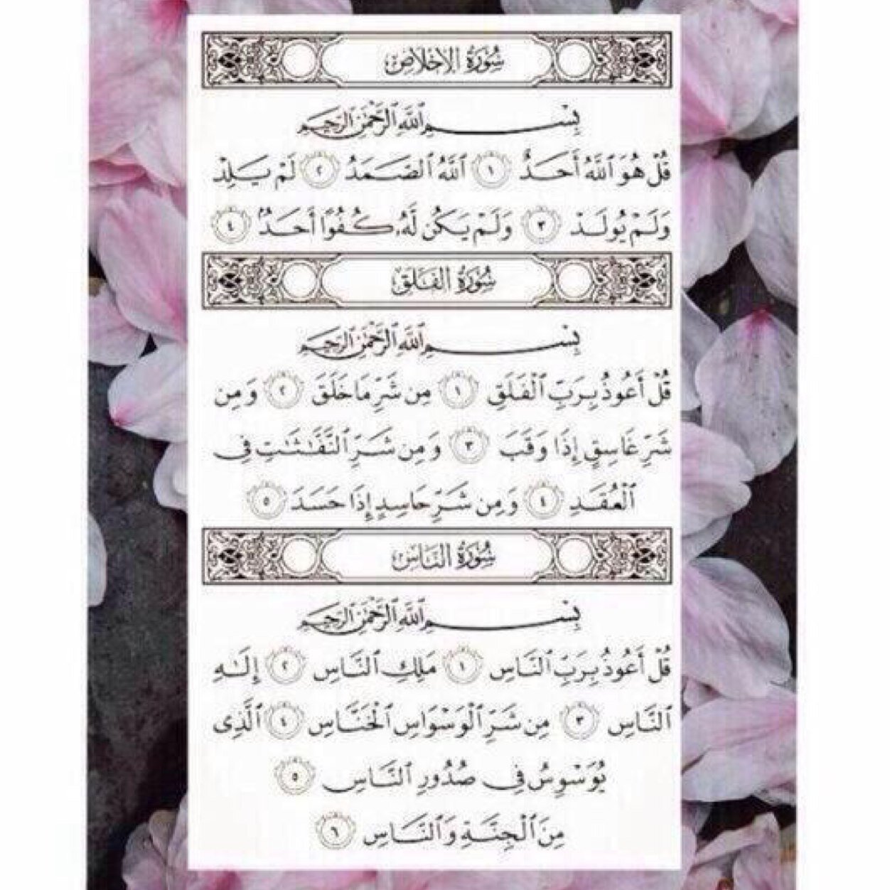 ارقص منشنات عشان اسعدكم سوو فولو وارسل دي ام وابشر بالتعزيز ، استغفرالله .