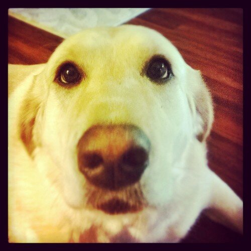 michael33017's profile picture. I love hanging out and being myself. Walking dead is boss. Be your self. Stay calm and use hash tags. #heckyeah