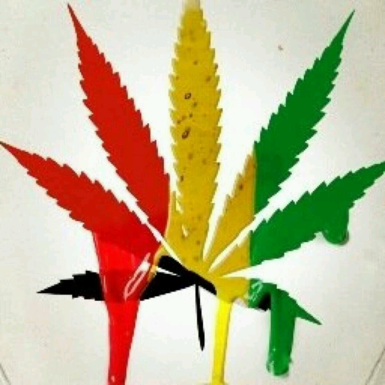 smoke weed, love life, go fucking crazy