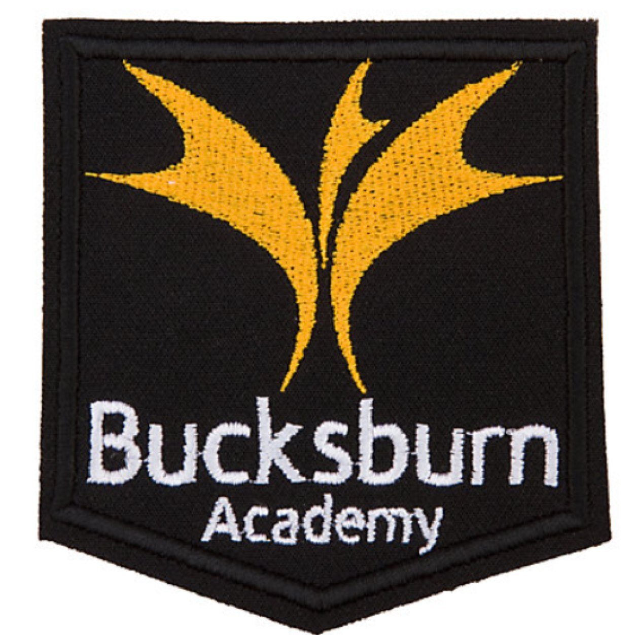 BucksburnQuotes's profile picture. 'This is a 24 million pound school people'