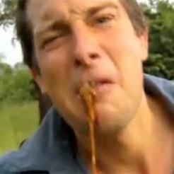 dindindu13's profile picture. #TeamOM #TeamComoco ...... Bon allez #TeamPauvre et #VincentTeam