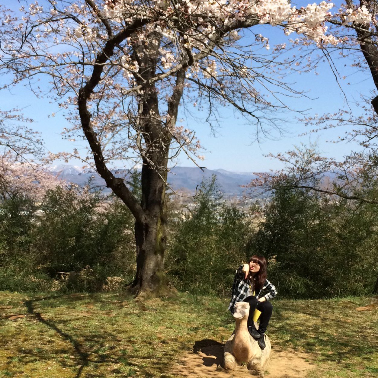 スローガンはうつくしまふくしま。毎朝のごみ拾いが日課です♪福島がもっときれいになりますように★の気持ちを込めて。