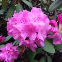 Eva Hoffmann - @eve_hoffmann - Twitter