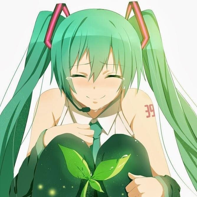 Rostyさんのプロフィール画像