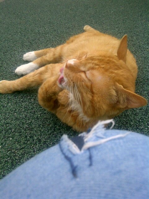 shanshinesmiles's profile picture. 