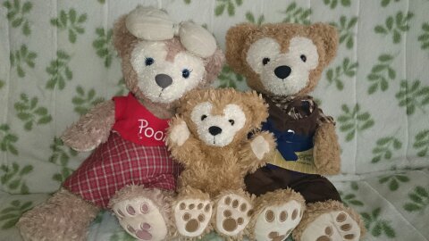 haru_smiledog's profile picture. 